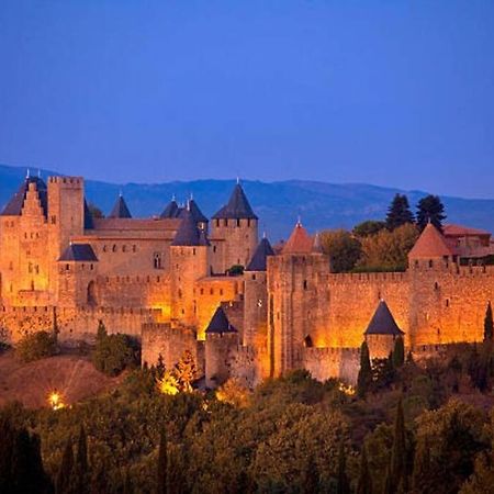 Chez Micka Apartment Carcassonne Exterior foto