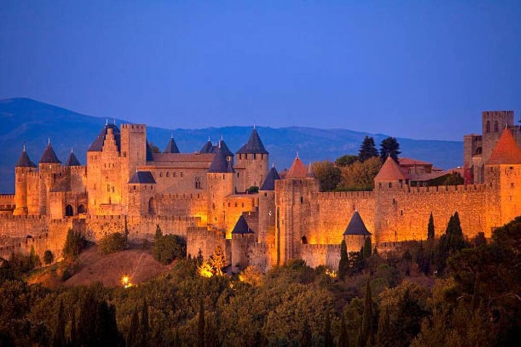 Chez Micka Apartment Carcassonne Exterior foto